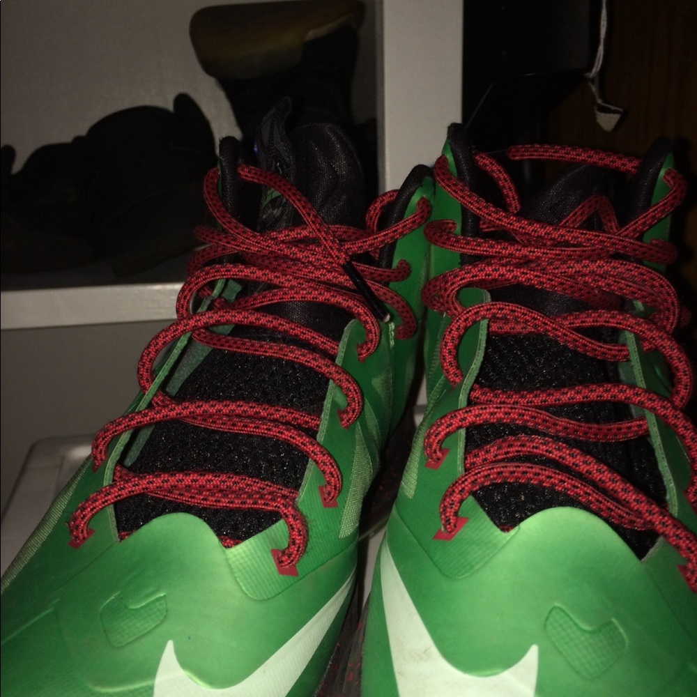 Lebrons - Picture 5 of 5